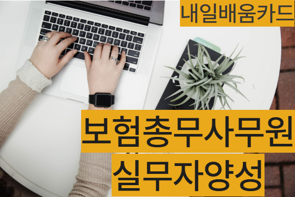 [내일배움카드] 11월 보험총무사무원실무자양성